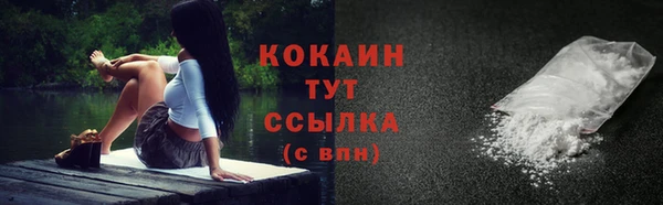 бошки Каменногорск