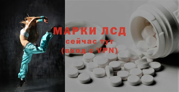 spice Каменка