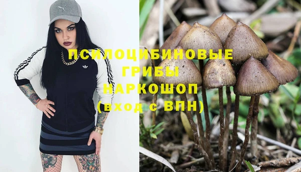 бошки Каменногорск
