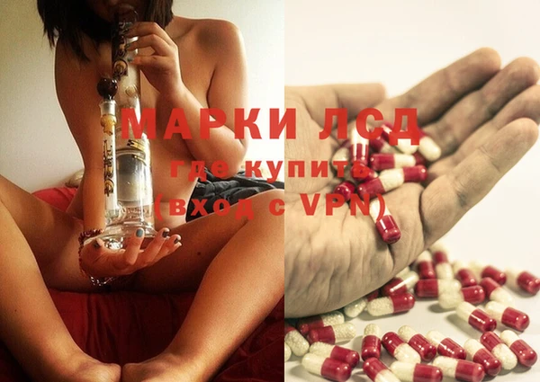 spice Каменка