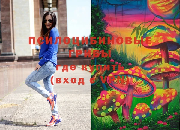бошки Каменногорск