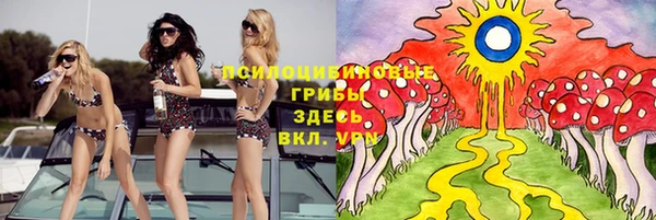 spice Каменка
