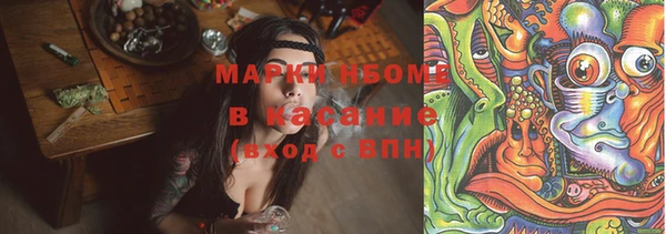 spice Каменка