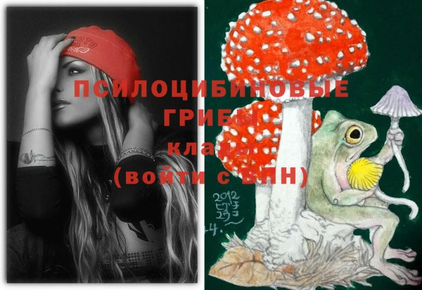 бошки Каменногорск