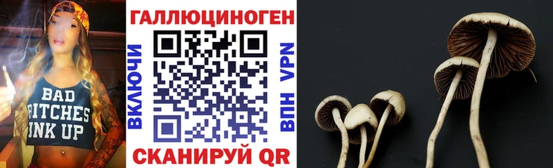 Купить где  Ветлуга  Галлюциногенные грибы прущие грибы 